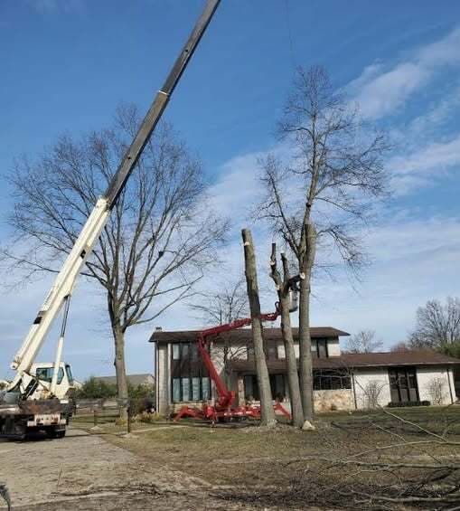 Starwood Tree Service LLC