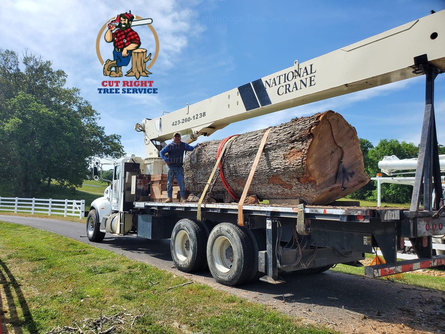 Cut Right Tree Service