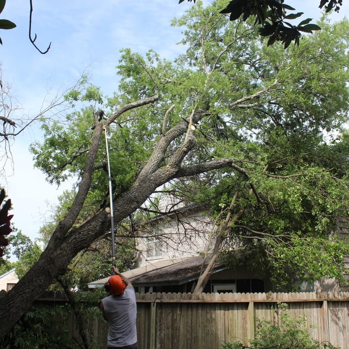 J & J Tree Care Professionals