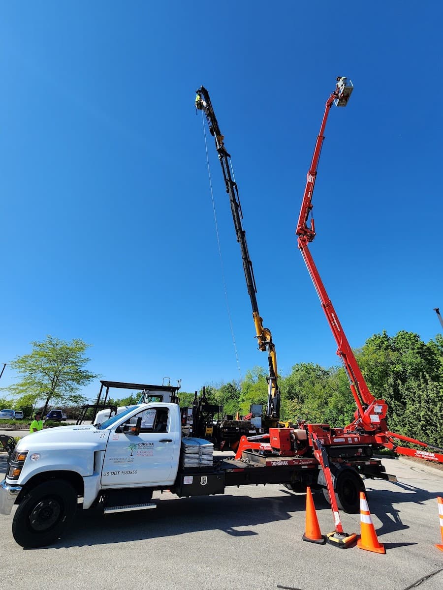 Dorshak Tree Specialists