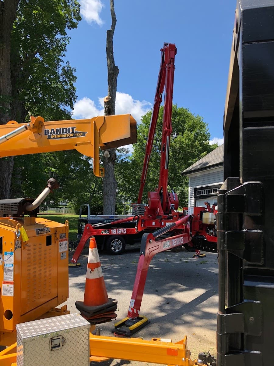 ASC Tree Service INC