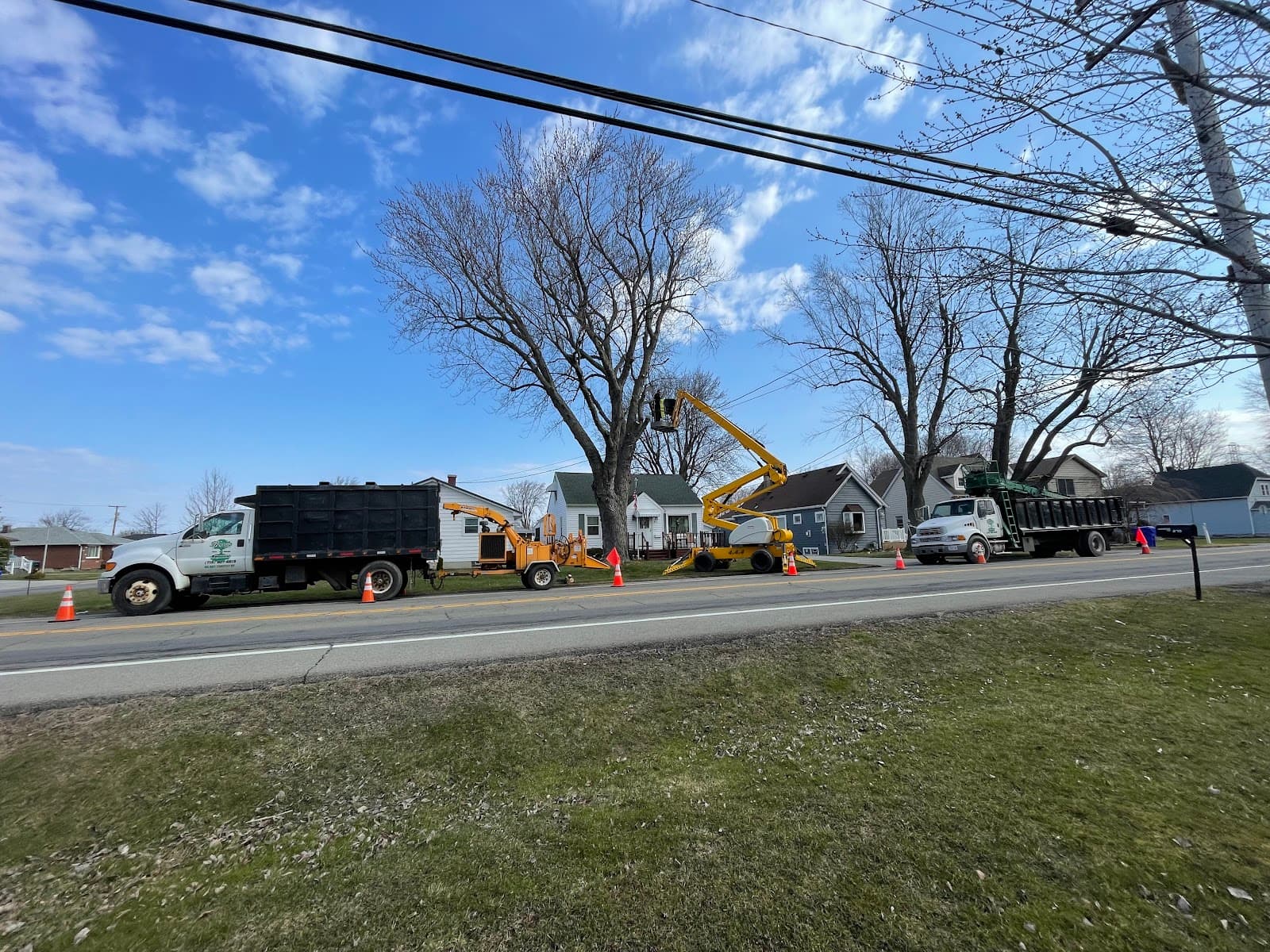 Mays Tree and Stump Removal