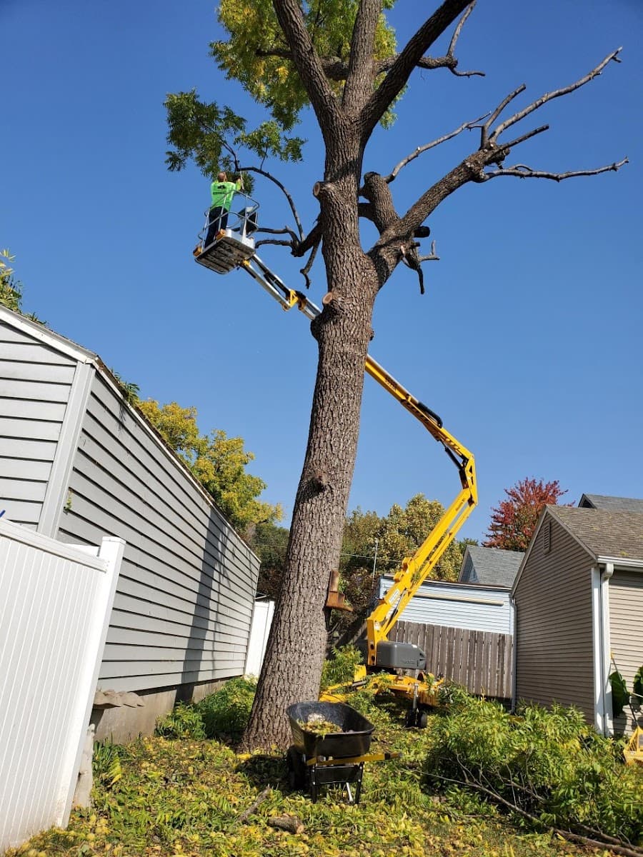 Kansas Tree Experts