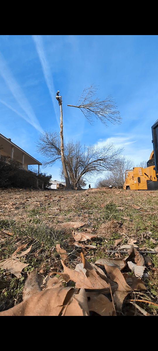 Eagle Tree Service LLC