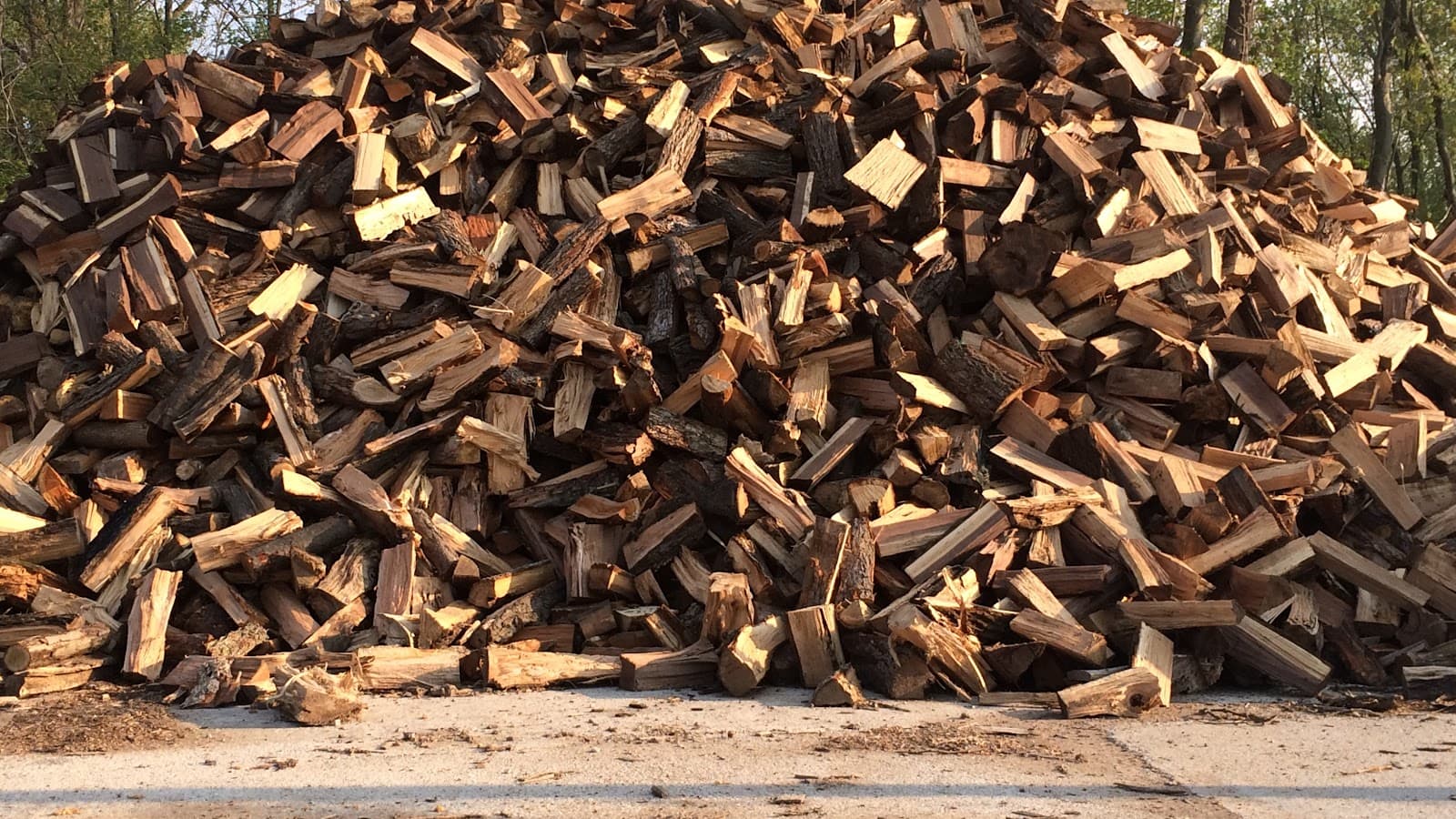 Michiana Timber and Trees