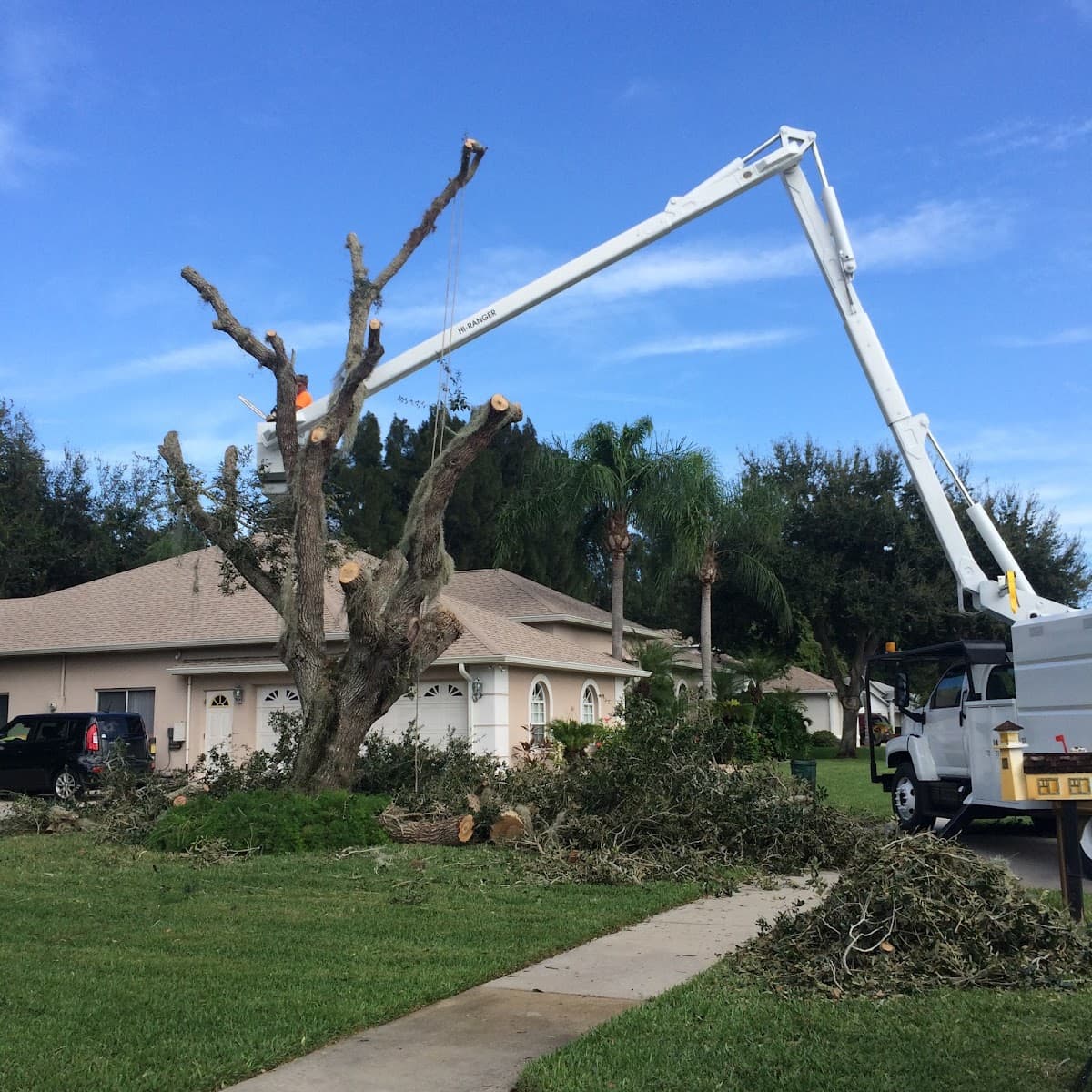 East Coast Tree Service, LLC