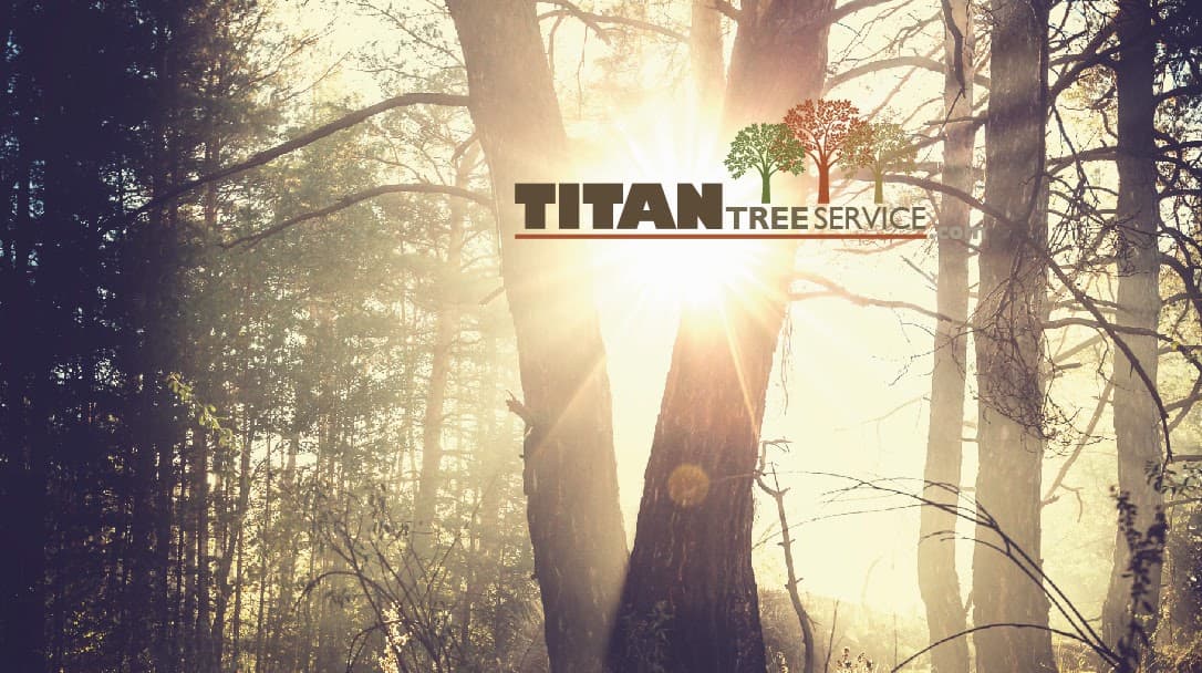 Titan Tree Service