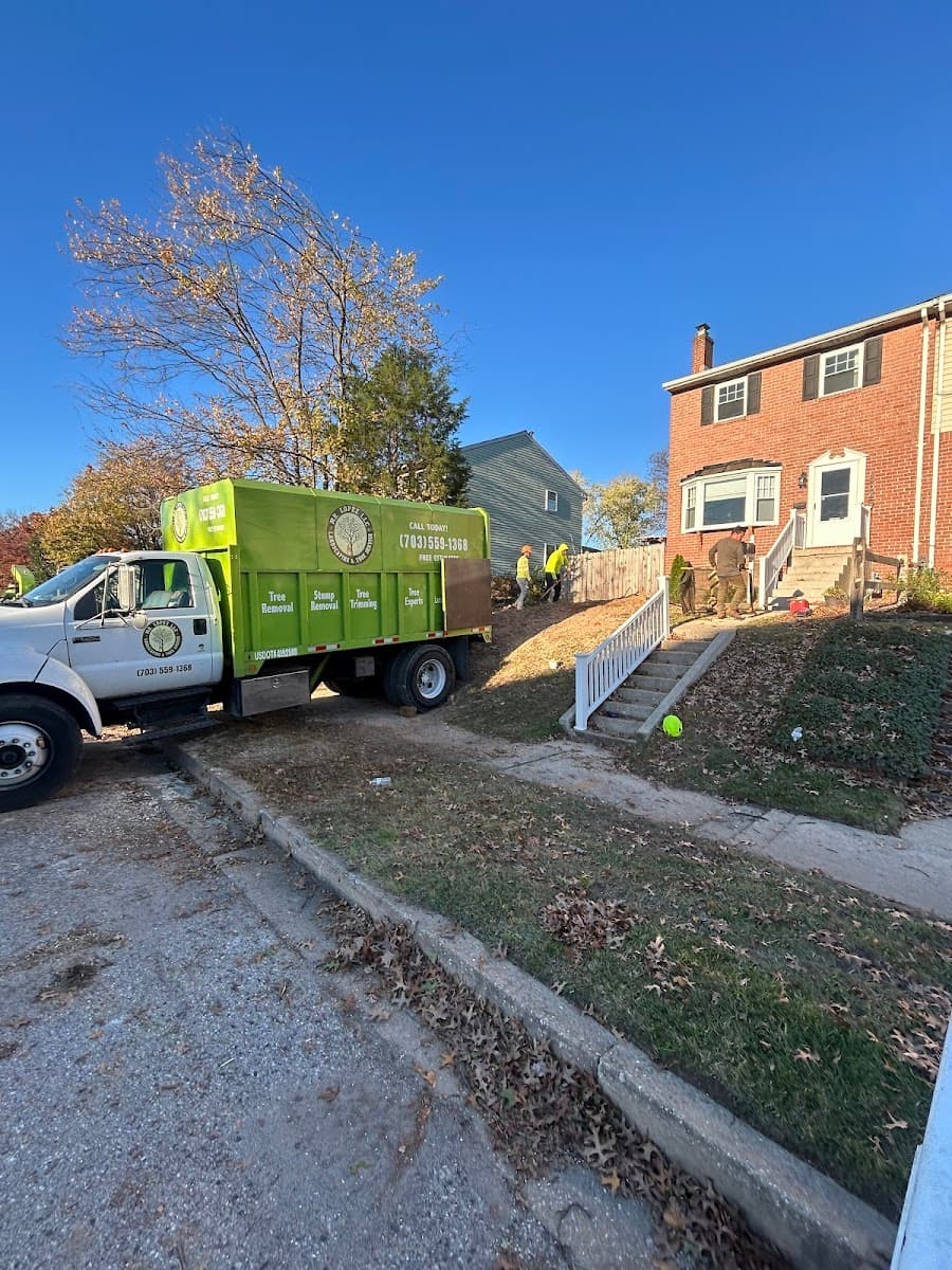 Mr. Lopez tree service and landscaping LLc.