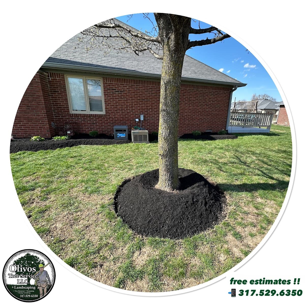 OLIVOS TREE SERVICES PLUS LANDSCAPING LLC