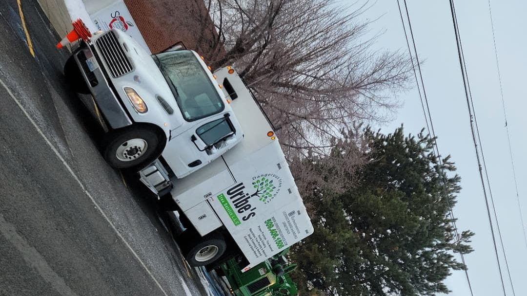 Uribe's Tree Service LLC