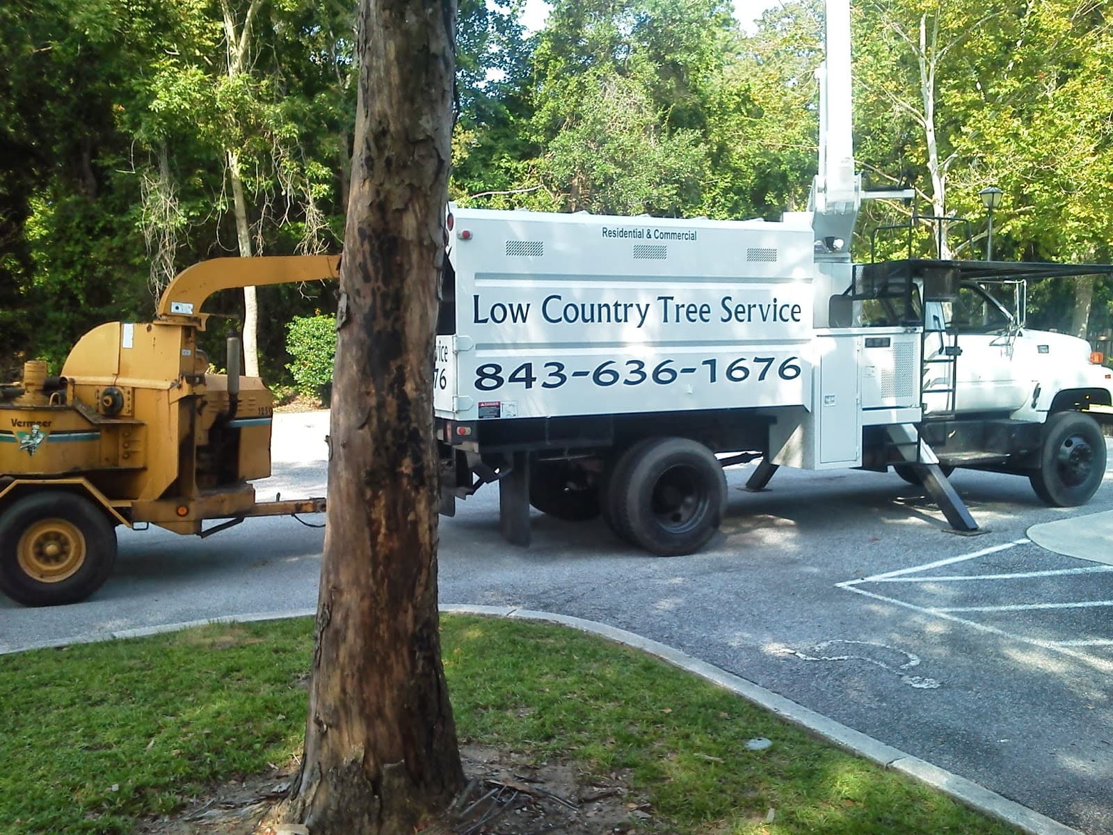 Low Country Tree Service