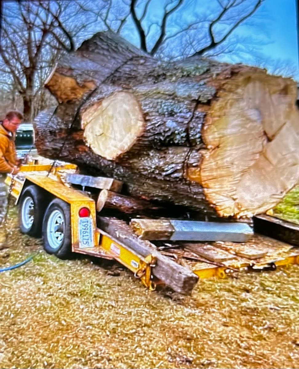 ANYTHING OUTDOORS TREE SERVICE