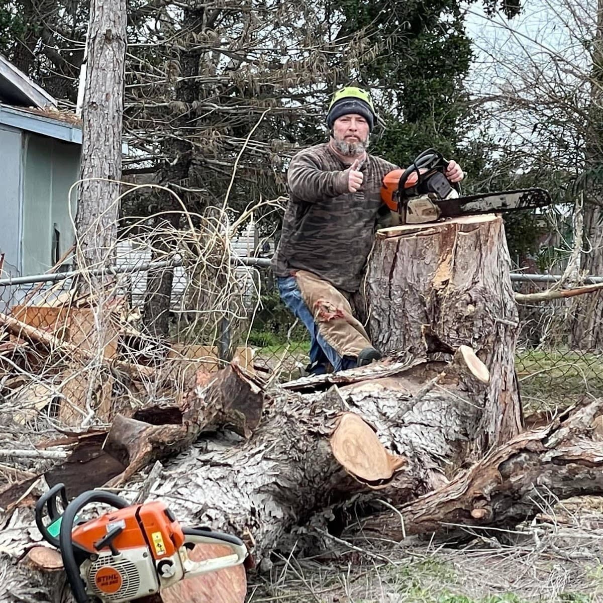 Marion's Tree Surgeon