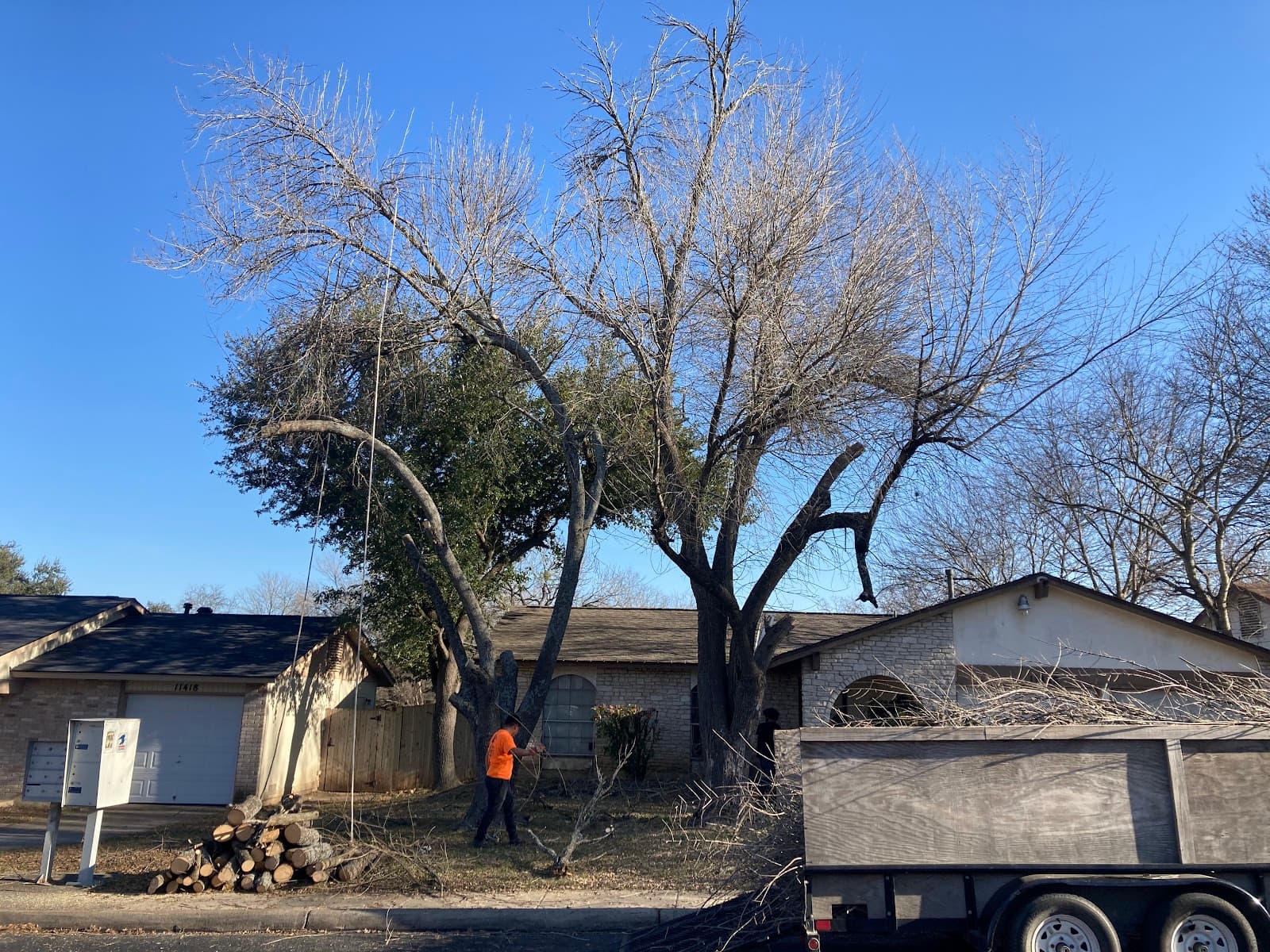 San Antonio Tree Service