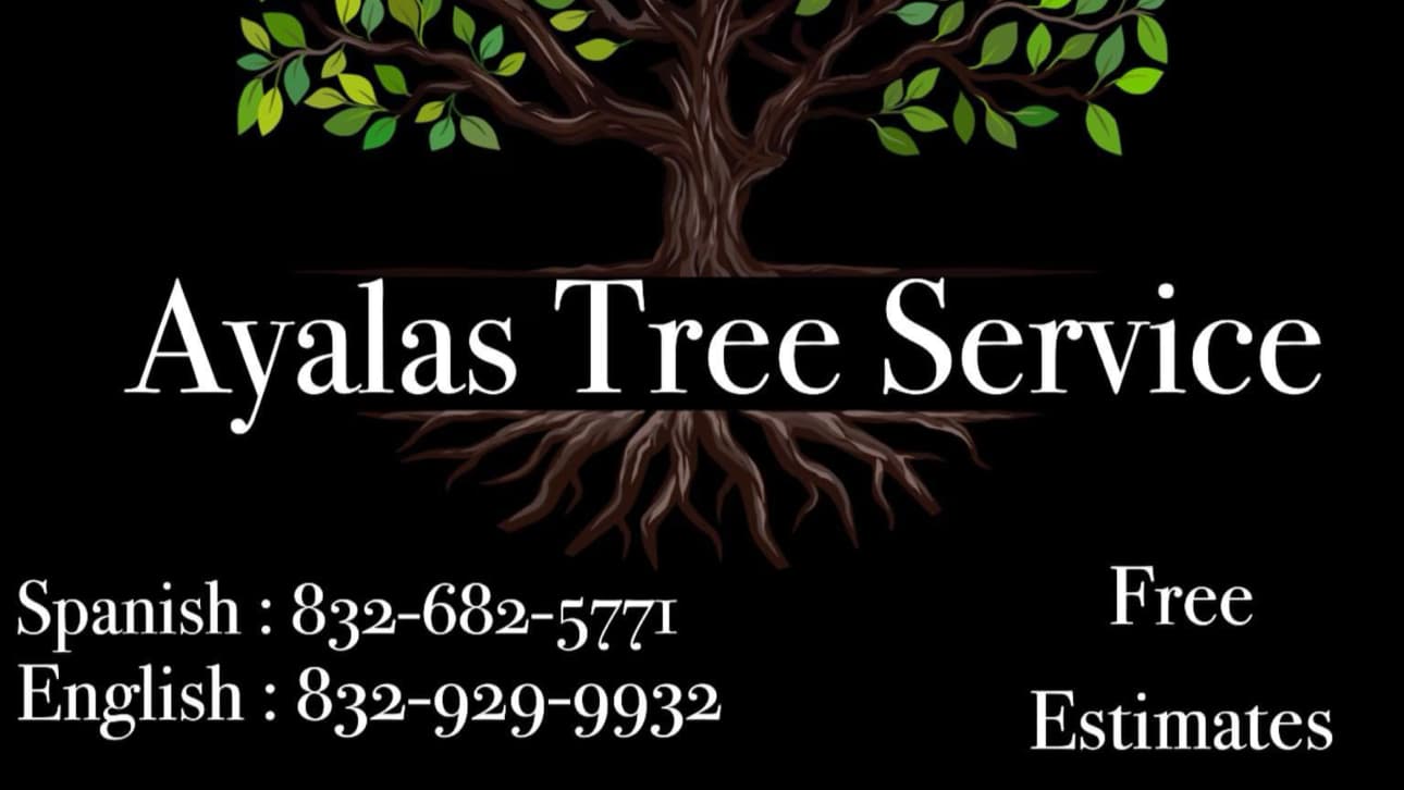 Ayalas Tree Service