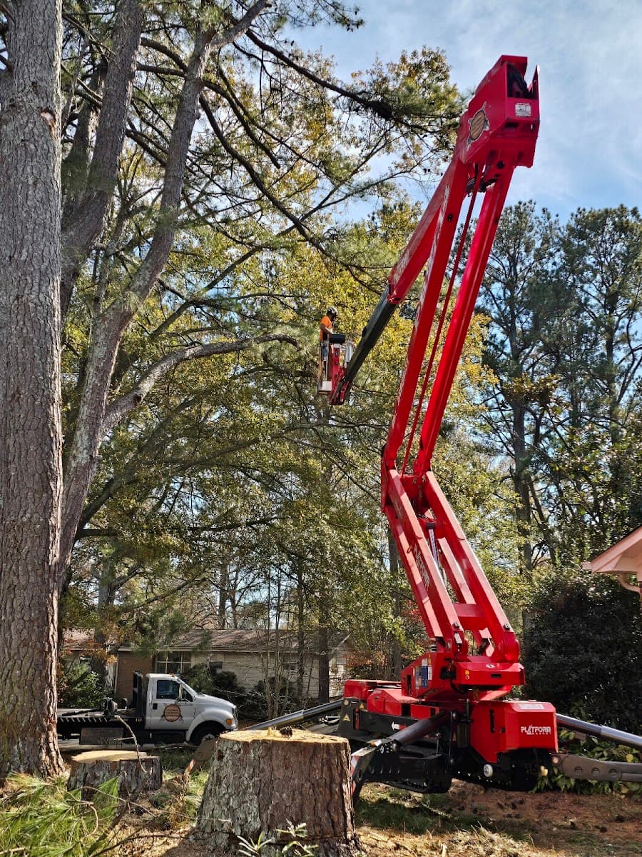 Mullinax Tree Service