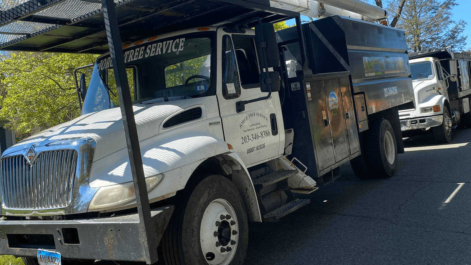 Jorge tree service llc