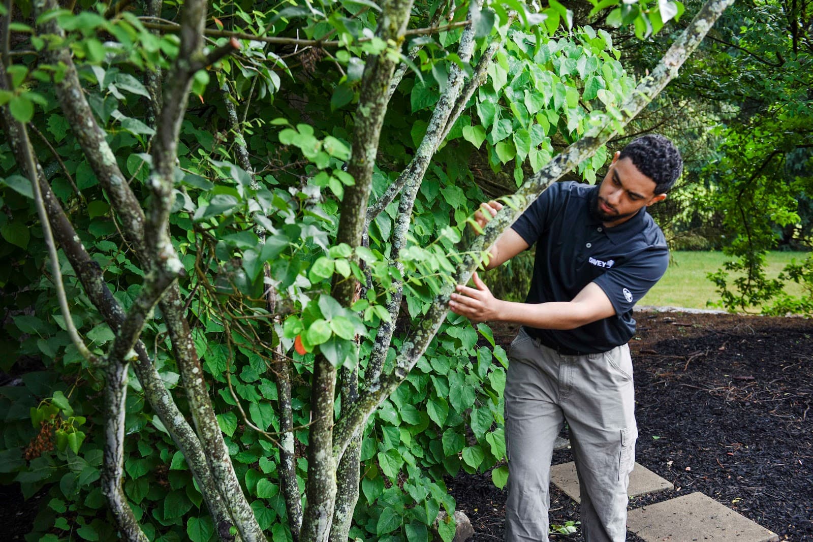 The Davey Tree Expert Company