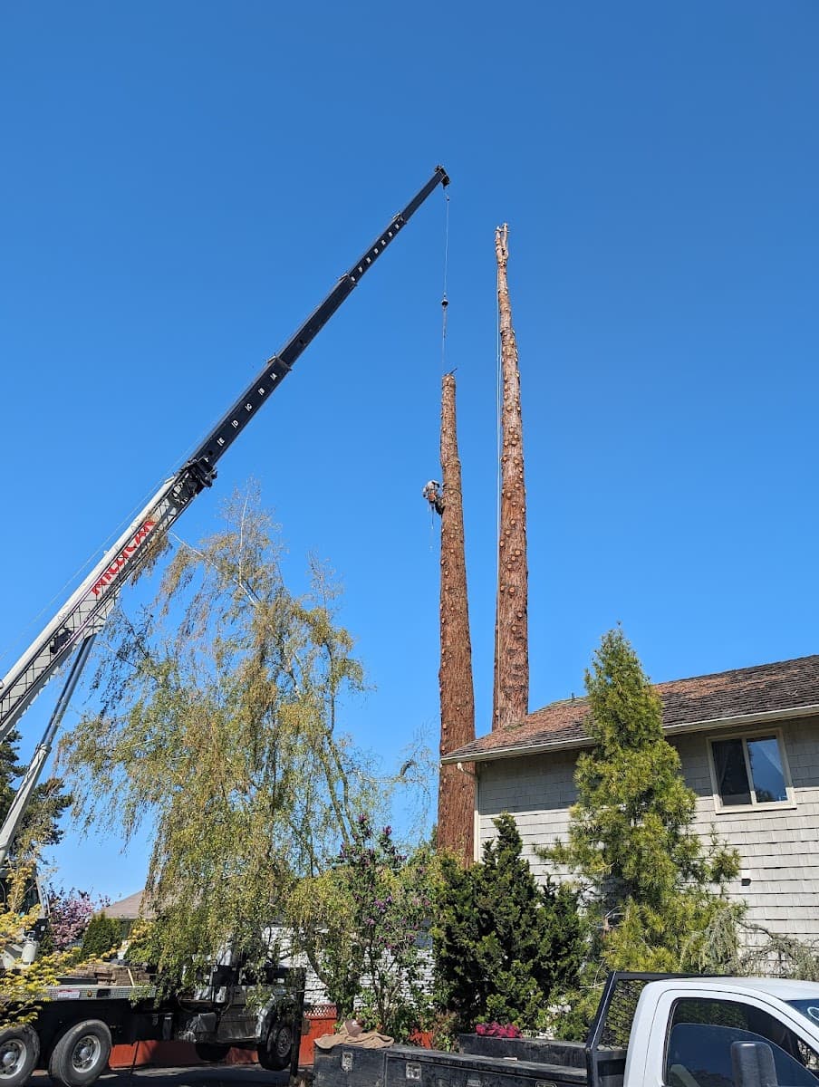 Cascadia Tree Service LLC