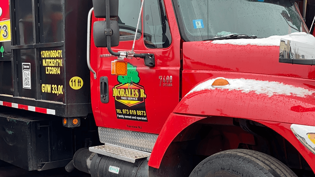 Morales Brothers Tree Service, LLC