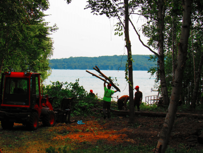 A-1 Professional Tree Service LLC