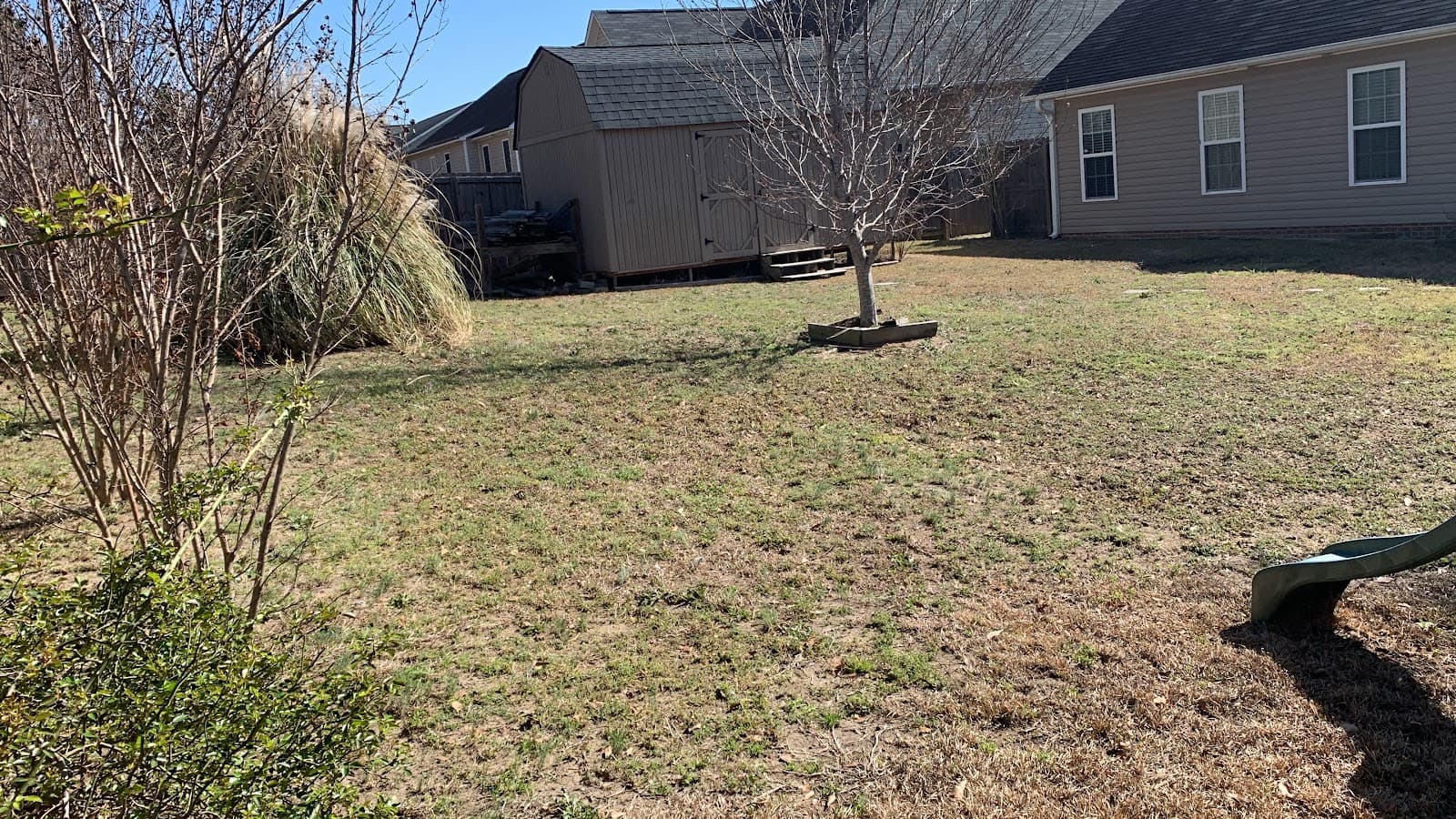 A&A Tree&Lawn Services