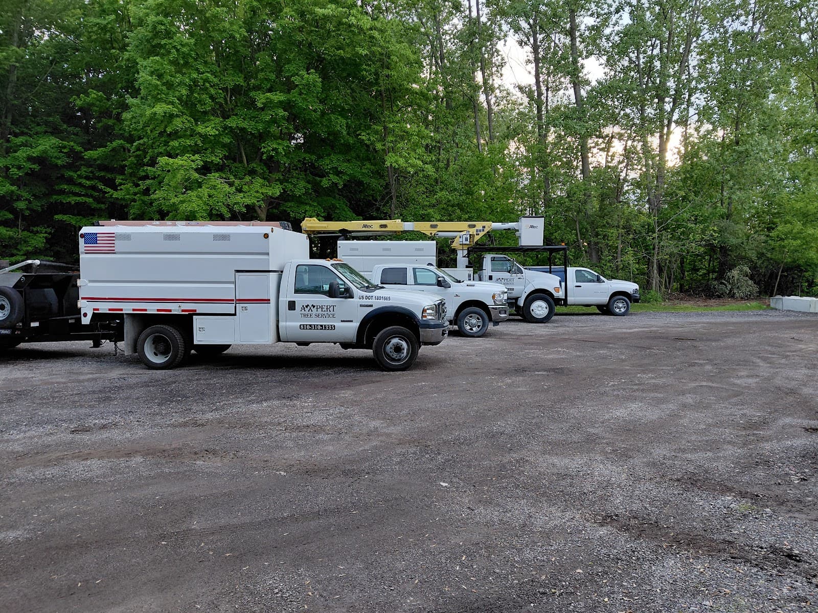 Axpert Tree Service LLC