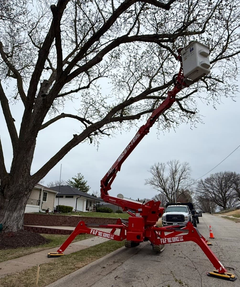 F & F Tree & Landscaping service LLC.