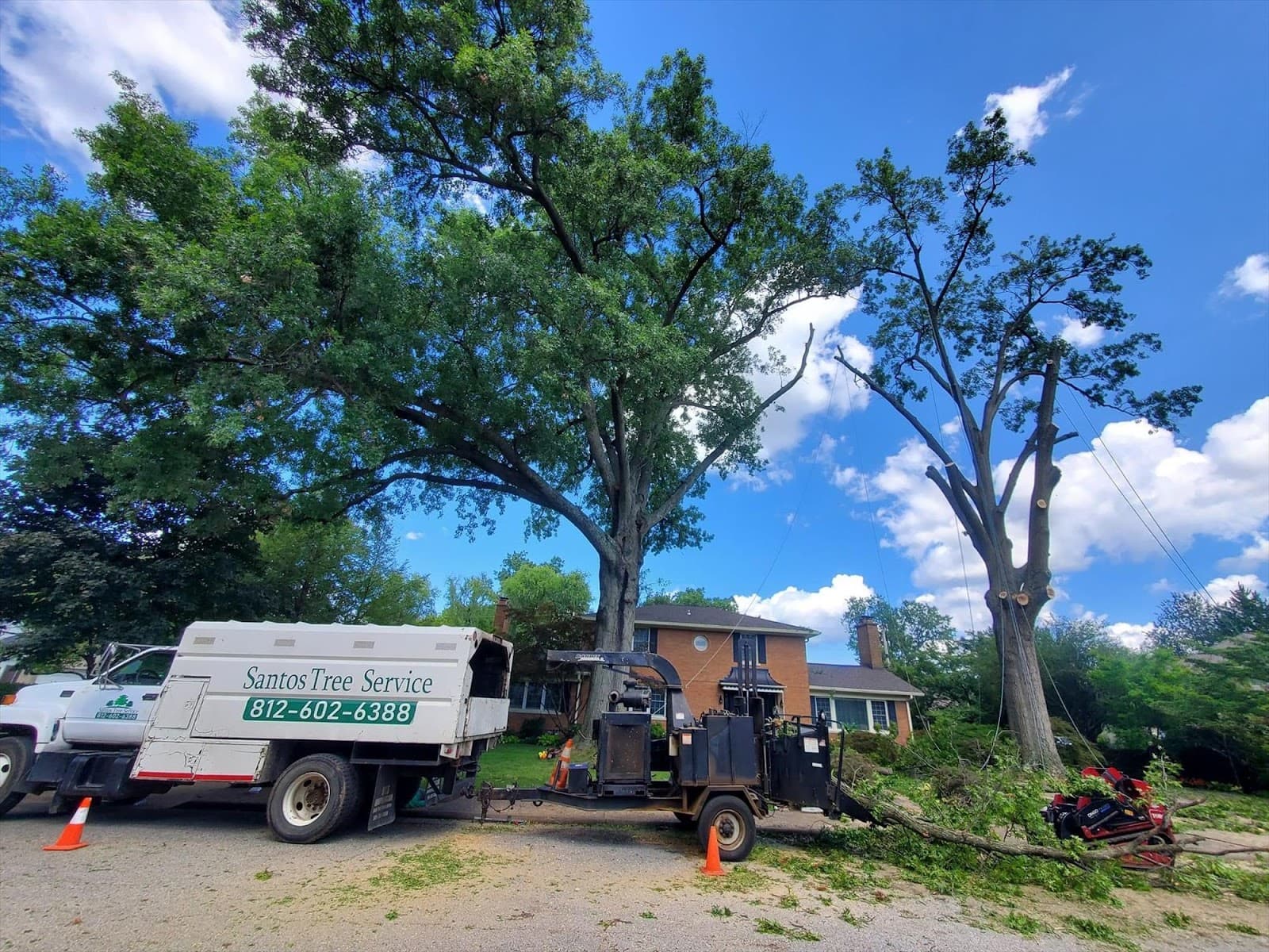 Santos Tree Service