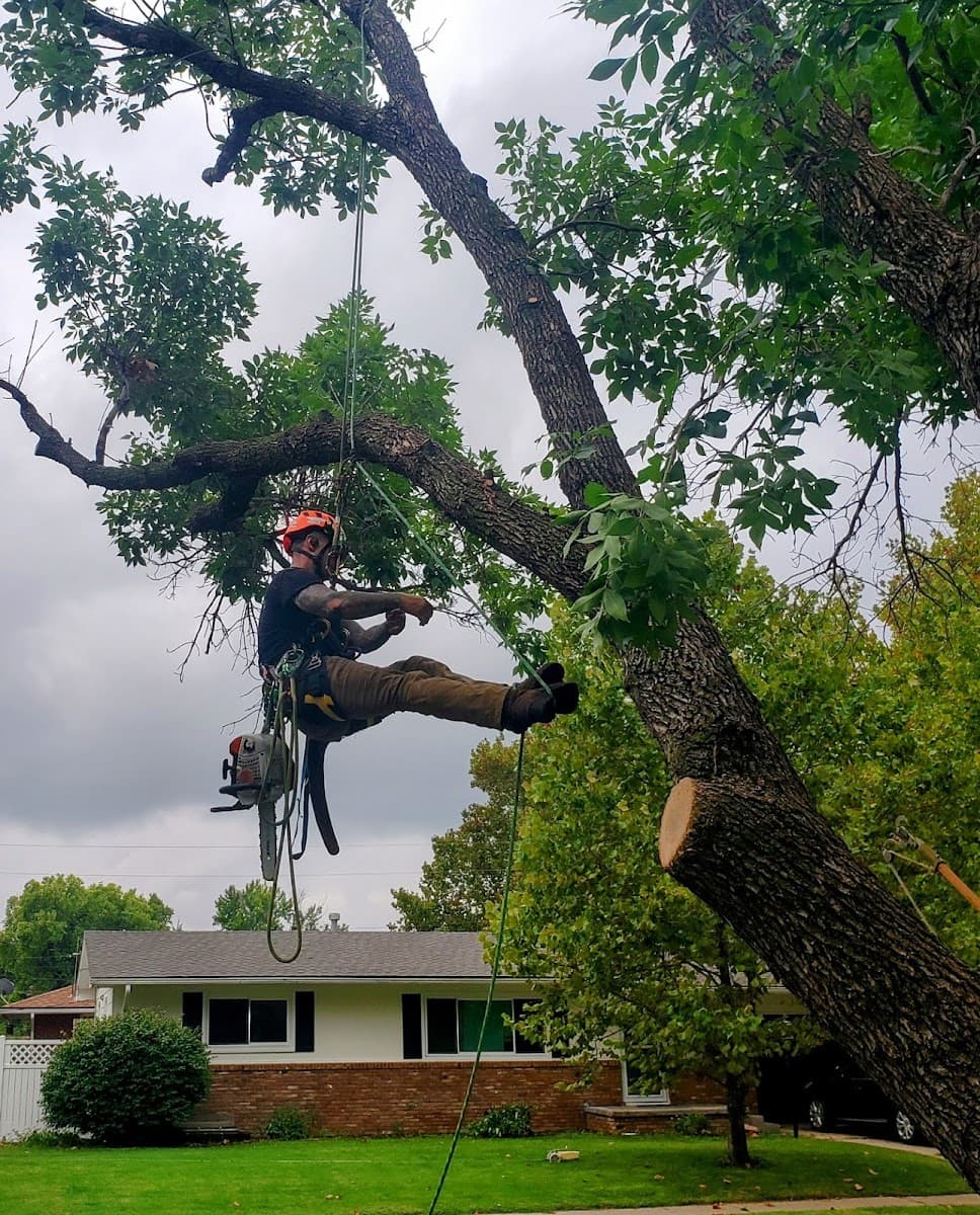 Koalatee Tree Service