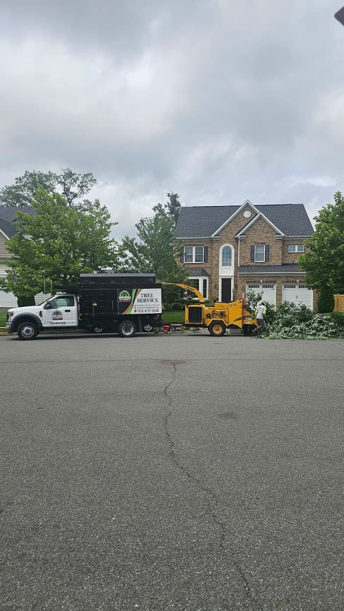 Wisdom Tree Service LLC