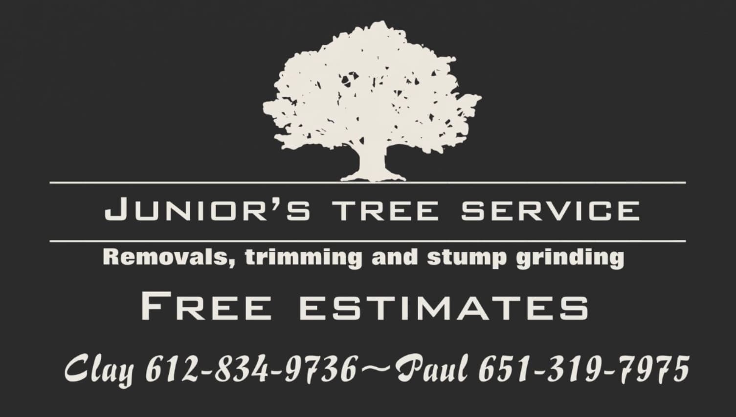 Juniors tree service