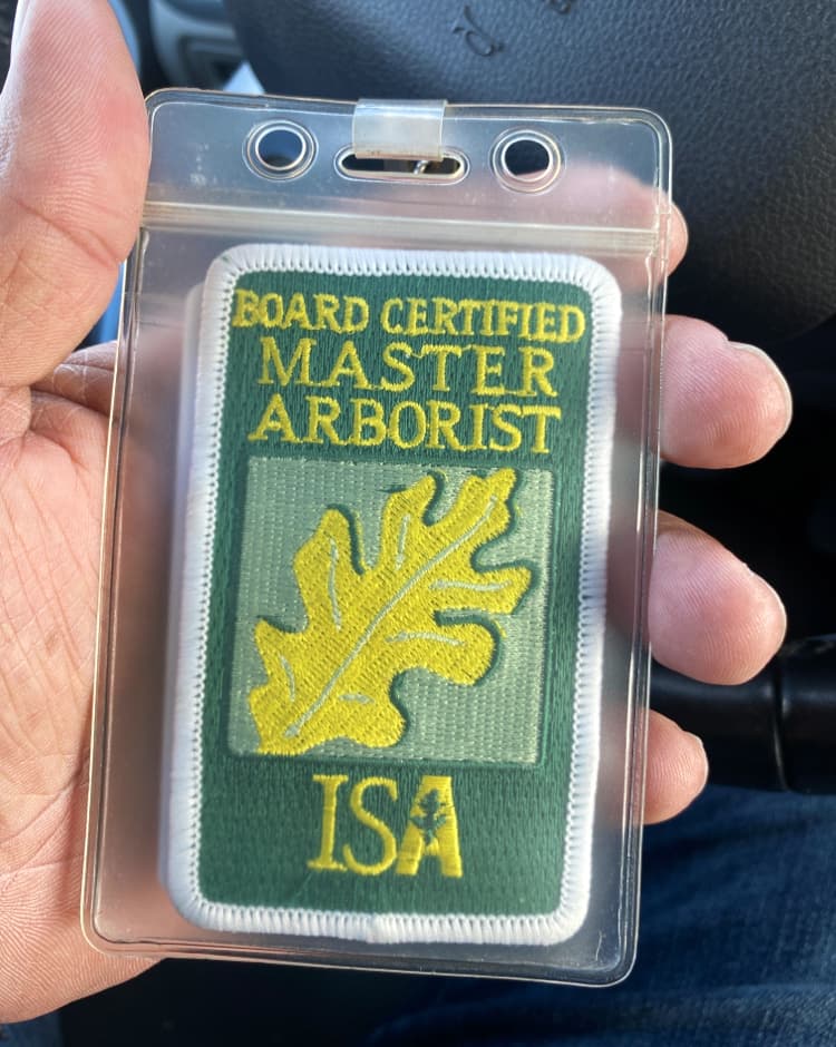 Nova Tree Solutions, LLC