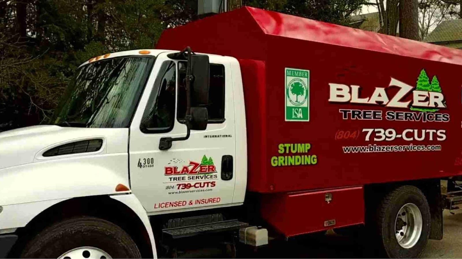 Blazer Tree Service