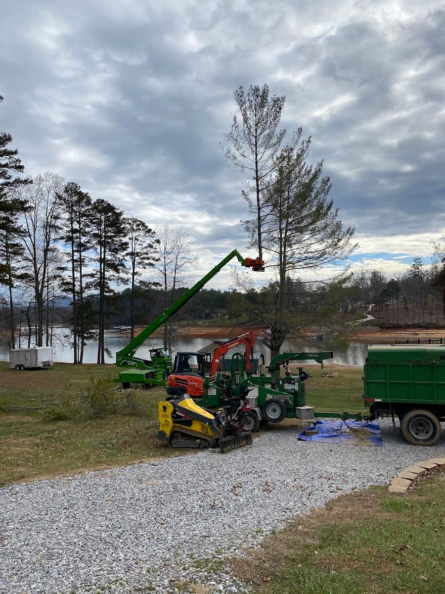 Direct Scenes Services