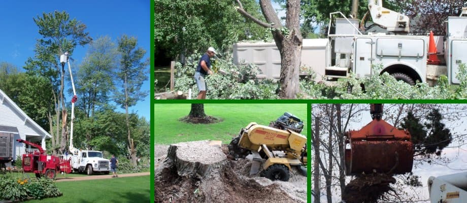 Kreft Tree Service - Wausau, WI