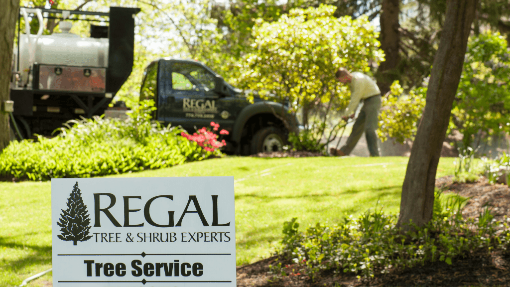 Regal Tree and Shrub Experts, LLC