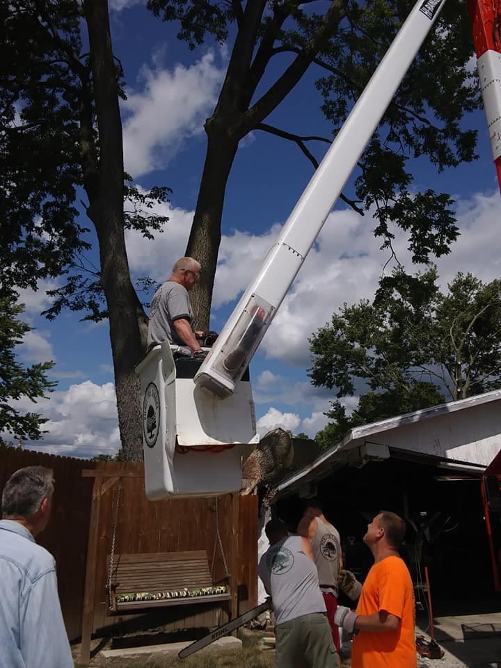 Pierce Tree Service LLC