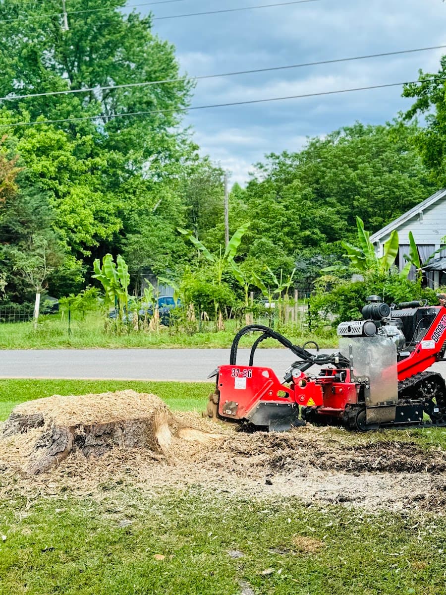 Carolina Tree Service