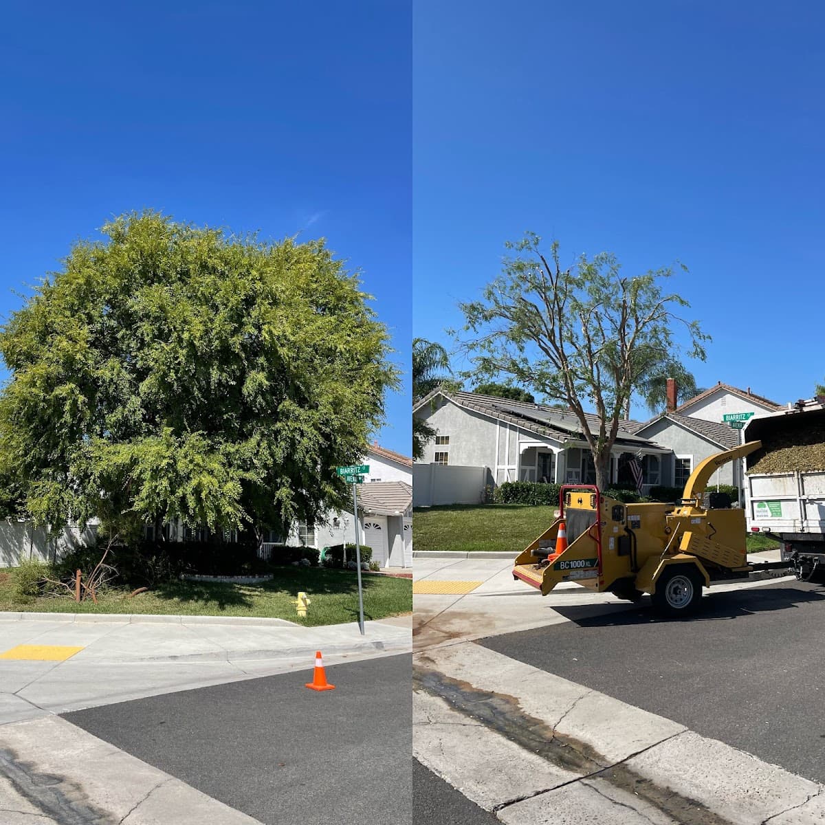 Green Vision Tree Service