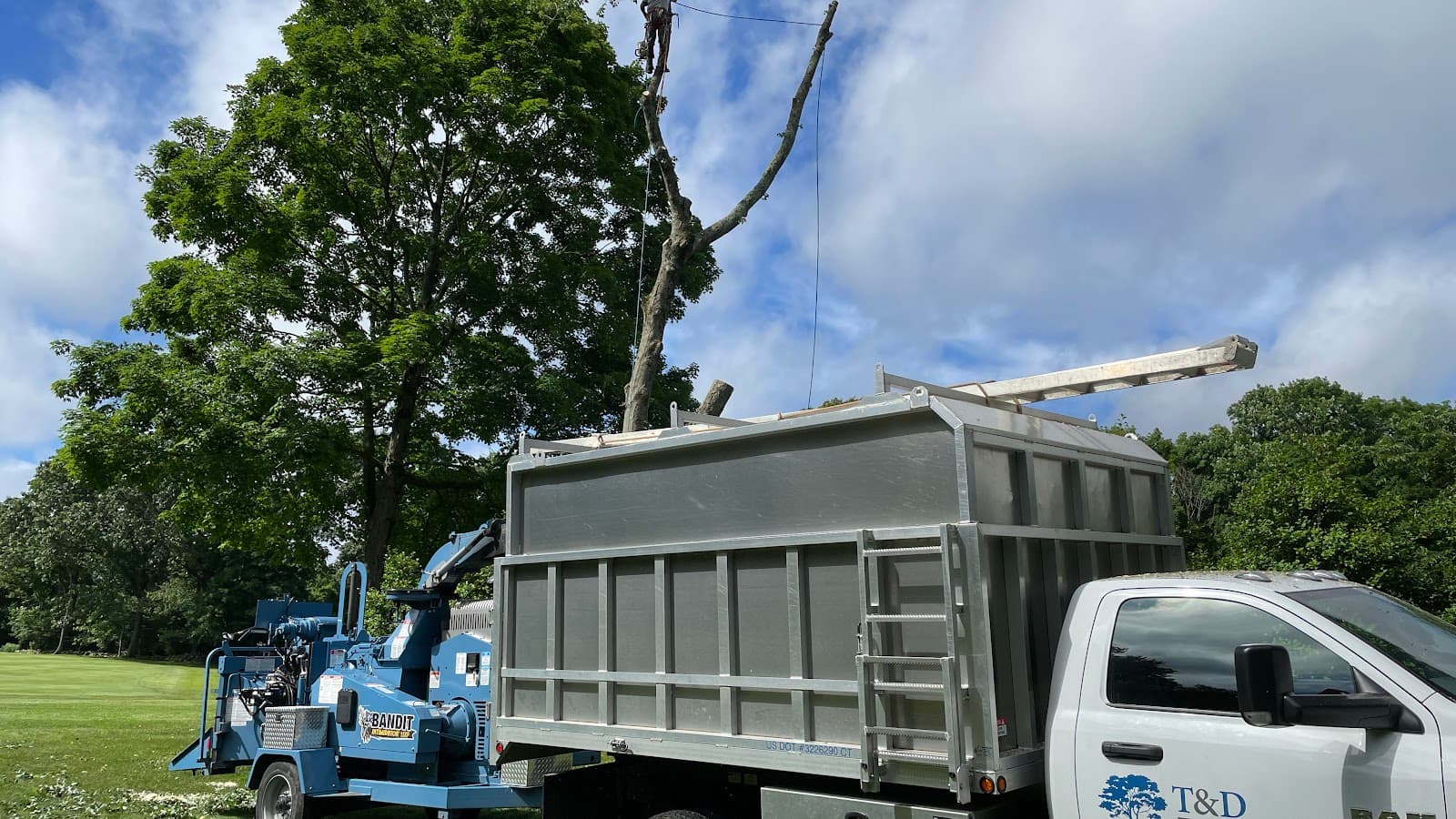 T and D Tree Service