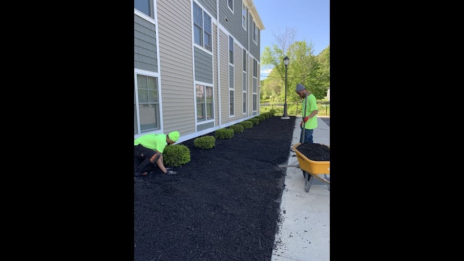 Avalanche Tree and Landscaping LLC