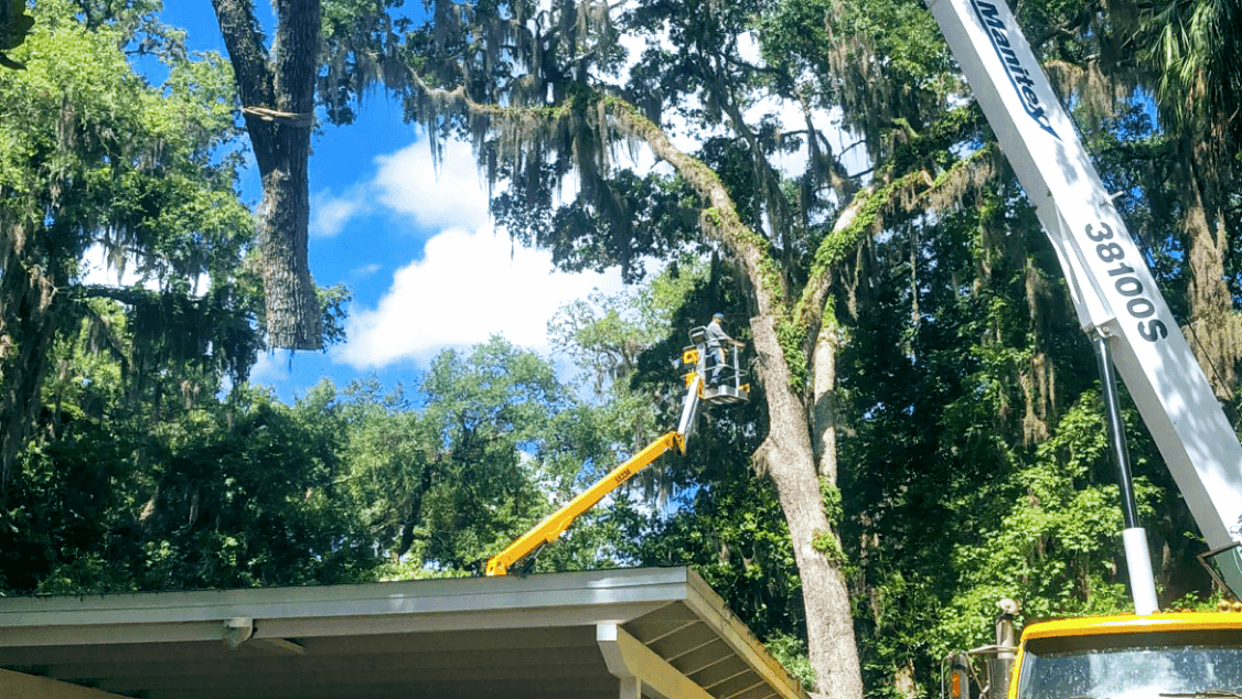 Citrus Tree Service, LLC.
