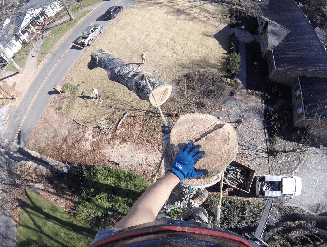 Arbor-All Tree Service