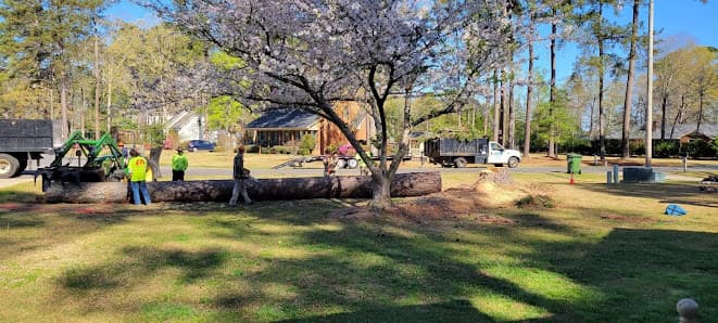 Woodward's Tree Service Inc