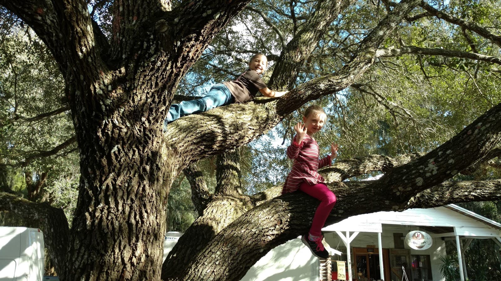 A & S Tree Service LLC