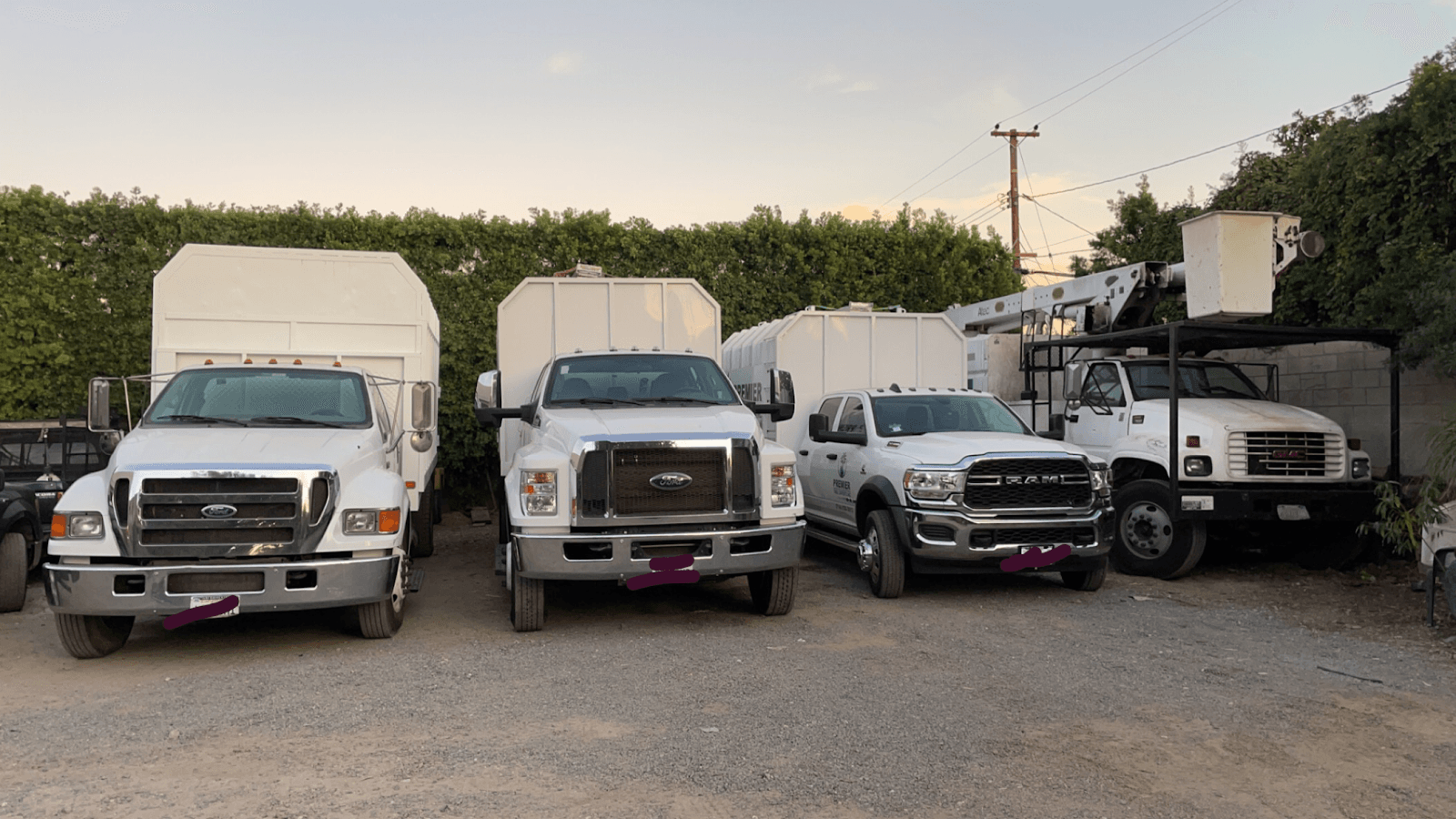 Premier Tree Experts