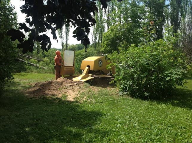 Mid State Tree Service LLC