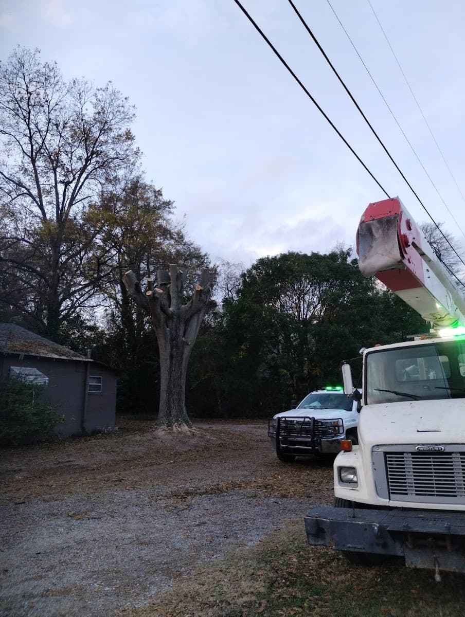 Silverleaf Tree Service