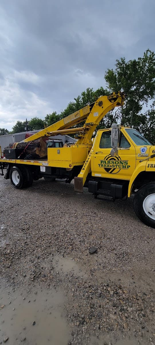 Parsons Tree & Stump